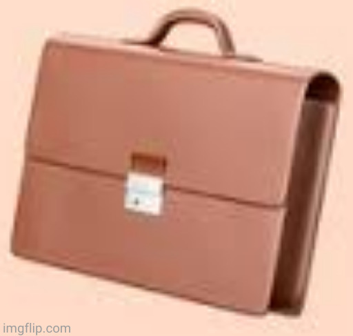 briefcase | made w/ Imgflip meme maker