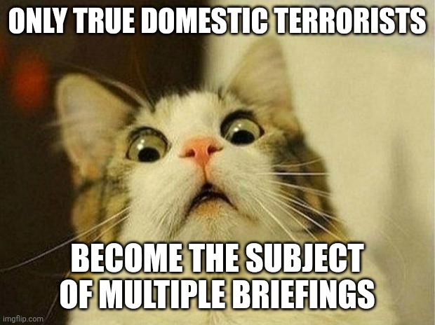 Scared Cat | ONLY TRUE DOMESTIC TERRORISTS; BECOME THE SUBJECT OF MULTIPLE BRIEFINGS | image tagged in memes,scared cat | made w/ Imgflip meme maker