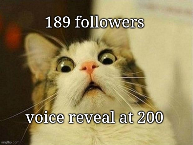 Scared Cat | 189 followers; voice reveal at 200 | image tagged in memes,scared cat | made w/ Imgflip meme maker