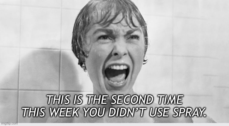 Environmental disdain | THIS IS THE SECOND TIME THIS WEEK YOU DIDN’T USE SPRAY. | image tagged in screaming woman | made w/ Imgflip meme maker
