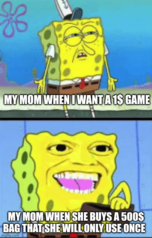 Spongebob money | MY MOM WHEN I WANT A 1$ GAME; MY MOM WHEN SHE BUYS A 500$ BAG THAT SHE WILL ONLY USE ONCE | image tagged in spongebob money | made w/ Imgflip meme maker
