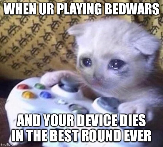 Sad Gamer Cat | WHEN UR PLAYING BEDWARS; AND YOUR DEVICE DIES IN THE BEST ROUND EVER | image tagged in sad gamer cat | made w/ Imgflip meme maker