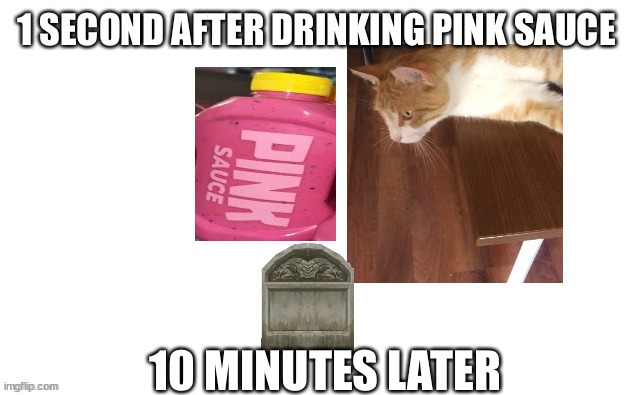 image tagged in 1 second after drinking pink sauce 10 minutes later | made w/ Imgflip meme maker