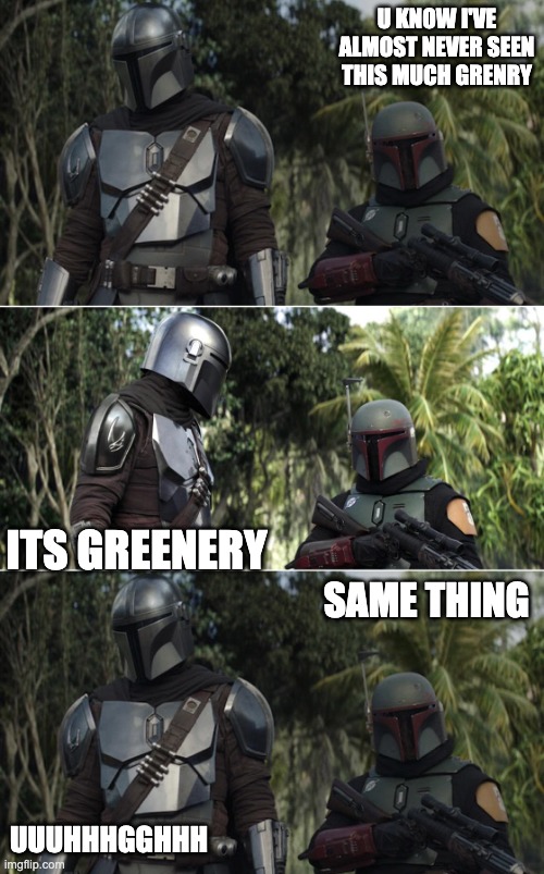 Boba Fett and Mando | U KNOW I'VE ALMOST NEVER SEEN THIS MUCH GRENRY; ITS GREENERY; SAME THING; UUUHHHGGHHH | image tagged in boba fett and mando,questions | made w/ Imgflip meme maker