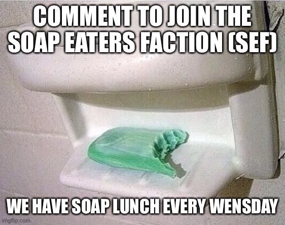 Real | COMMENT TO JOIN THE SOAP EATERS FACTION (SEF); WE HAVE SOAP LUNCH EVERY WENSDAY | image tagged in soap | made w/ Imgflip meme maker