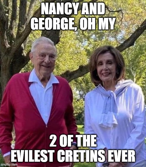 Nancy and George | NANCY AND GEORGE, OH MY; 2 OF THE EVILEST CRETINS EVER | image tagged in nancy and george | made w/ Imgflip meme maker