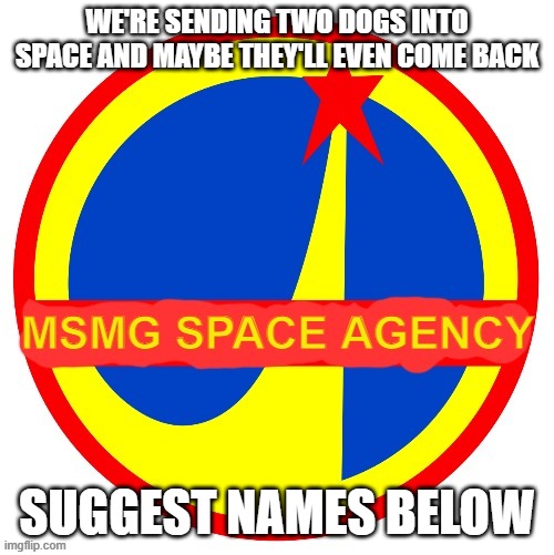 MSMG Space Agency | WE'RE SENDING TWO DOGS INTO SPACE AND MAYBE THEY'LL EVEN COME BACK; SUGGEST NAMES BELOW | image tagged in msmg space agency | made w/ Imgflip meme maker