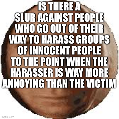 I need a word i can use against people like gold crusade | IS THERE A SLUR AGAINST PEOPLE WHO GO OUT OF THEIR WAY TO HARASS GROUPS OF INNOCENT PEOPLE TO THE POINT WHEN THE HARASSER IS WAY MORE ANNOYING THAN THE VICTIM | image tagged in ball goodman | made w/ Imgflip meme maker