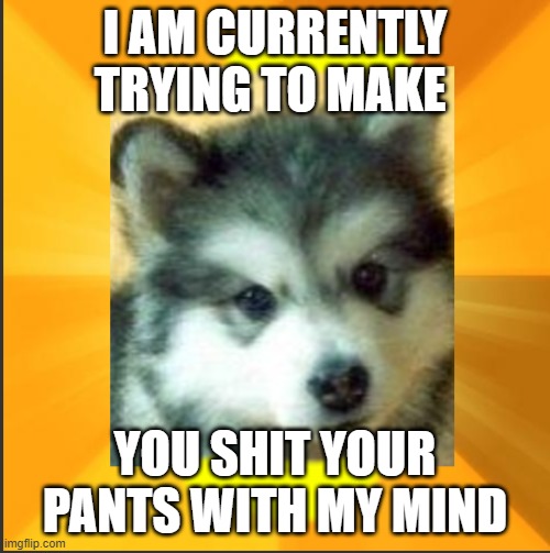 dog | I AM CURRENTLY TRYING TO MAKE; YOU SHIT YOUR PANTS WITH MY MIND | image tagged in baby courage wolf | made w/ Imgflip meme maker