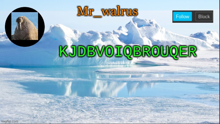 Mr_walrus | KJDBVOIQBROUQER | image tagged in mr_walrus | made w/ Imgflip meme maker