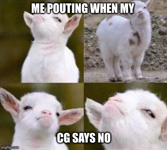Cue the brattiness! | ME POUTING WHEN MY; CG SAYS NO | image tagged in smug goat | made w/ Imgflip meme maker