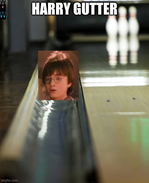 Harry Gutter | HARRY GUTTER | image tagged in harry potter,harry gutter | made w/ Imgflip meme maker