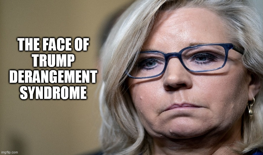 Face of TDS | THE FACE OF
TRUMP
DERANGEMENT
SYNDROME | made w/ Imgflip meme maker