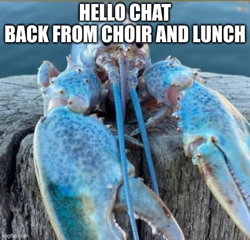 lobber my beloved | HELLO CHAT
BACK FROM CHOIR AND LUNCH | image tagged in lobber my beloved | made w/ Imgflip meme maker