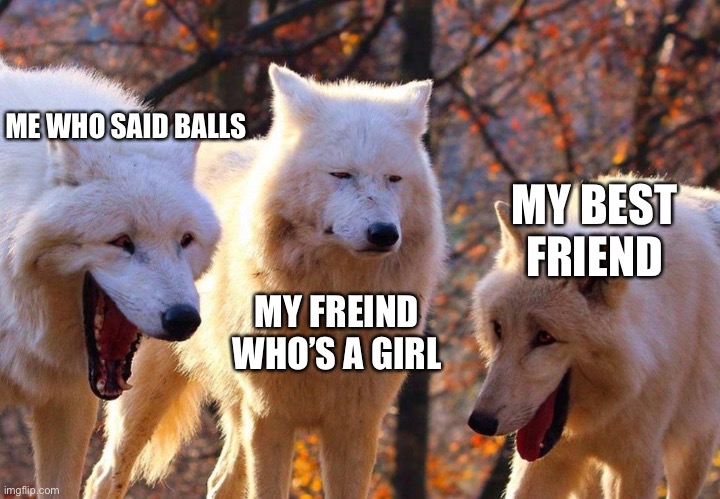 2/3 wolves laugh | ME WHO SAID BALLS; MY BEST FRIEND; MY FREIND WHO’S A GIRL | image tagged in 2/3 wolves laugh | made w/ Imgflip meme maker