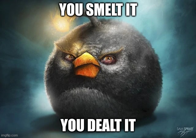 YOU SMELT IT | YOU SMELT IT; YOU DEALT IT | image tagged in boomb,angry birds | made w/ Imgflip meme maker