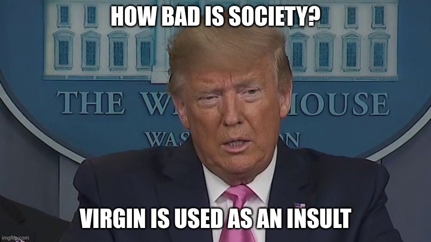 If Only You Knew How Bad Things Really Are | HOW BAD IS SOCIETY? VIRGIN IS USED AS AN INSULT | image tagged in donald trump,trump bill signing,2022,society,what happened,virgin | made w/ Imgflip meme maker