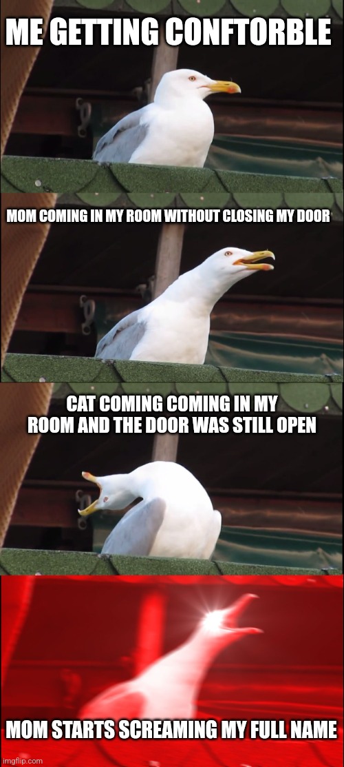 Inhaling Seagull Meme | ME GETTING CONFTORBLE; MOM COMING IN MY ROOM WITHOUT CLOSING MY DOOR; CAT COMING COMING IN MY ROOM AND THE DOOR WAS STILL OPEN; MOM STARTS SCREAMING MY FULL NAME | image tagged in memes | made w/ Imgflip meme maker