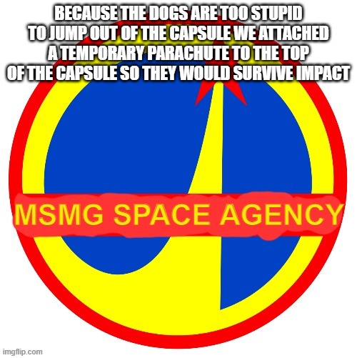 They will make 6 orbits before we bring them back | BECAUSE THE DOGS ARE TOO STUPID TO JUMP OUT OF THE CAPSULE WE ATTACHED A TEMPORARY PARACHUTE TO THE TOP OF THE CAPSULE SO THEY WOULD SURVIVE IMPACT | image tagged in msmg space agency | made w/ Imgflip meme maker