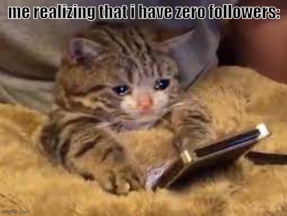 :( | me realizing that i have zero followers: | image tagged in sad | made w/ Imgflip meme maker