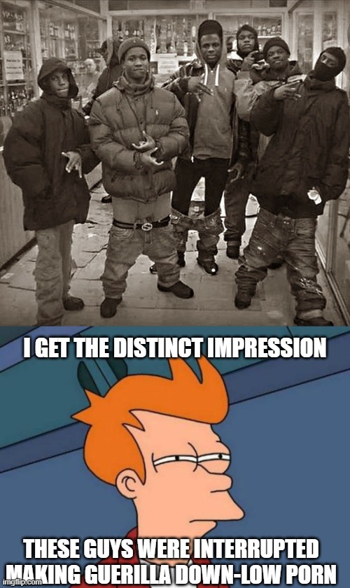 I GET THE DISTINCT IMPRESSION; THESE GUYS WERE INTERRUPTED MAKING GUERILLA DOWN-LOW PORN | image tagged in all my homies love,memes,futurama fry | made w/ Imgflip meme maker