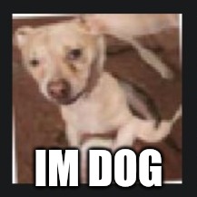 wank dog | IM DOG | image tagged in wank dog | made w/ Imgflip meme maker