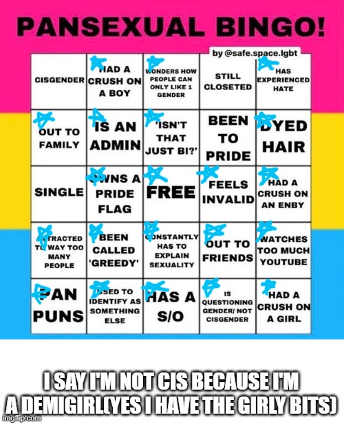 Pansexual Bingo | I SAY I'M NOT CIS BECAUSE I'M A DEMIGIRL(YES I HAVE THE GIRLY BITS) | image tagged in pansexual bingo | made w/ Imgflip meme maker