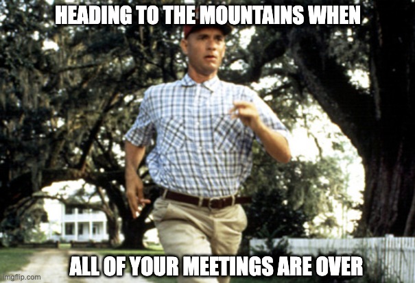 tgif | HEADING TO THE MOUNTAINS WHEN; ALL OF YOUR MEETINGS ARE OVER | image tagged in forest gump running | made w/ Imgflip meme maker