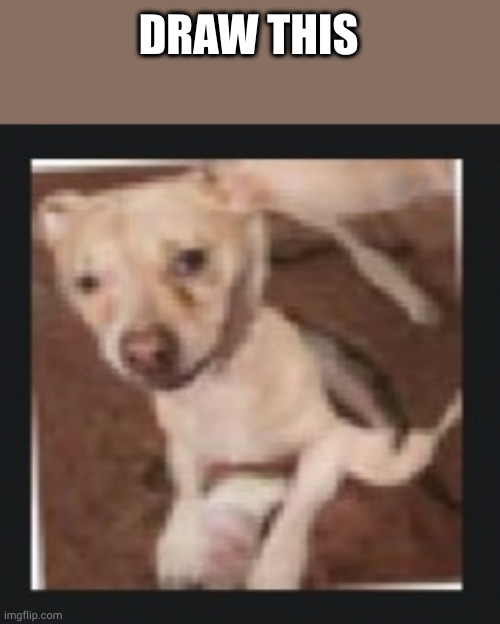 I dare you | DRAW THIS | image tagged in wank dog | made w/ Imgflip meme maker
