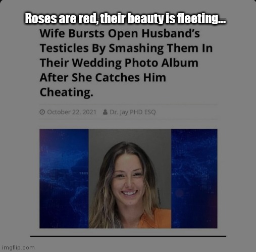 Roses are red then they rupture | Roses are red, their beauty is fleeting... | image tagged in funny | made w/ Imgflip meme maker