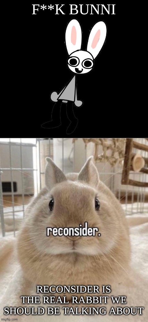 fr | F**K BUNNI; RECONSIDER IS THE REAL RABBIT WE SHOULD BE TALKING ABOUT | image tagged in memes,funny,reconsider,rabbit,bunni,stop reading the tags | made w/ Imgflip meme maker