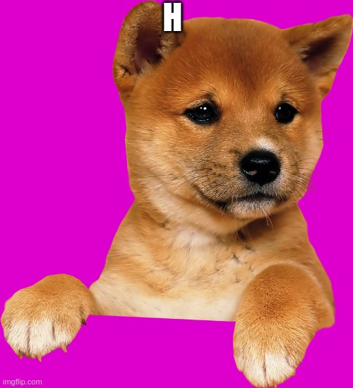 table dog addon | H | image tagged in table dog addon | made w/ Imgflip meme maker