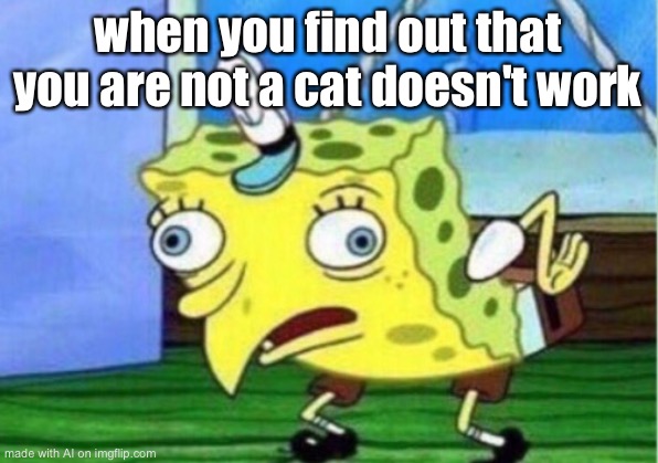 Mocking Spongebob | when you find out that you are not a cat doesn't work | image tagged in memes,mocking spongebob | made w/ Imgflip meme maker