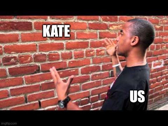 Brick wall guy | KATE US | image tagged in brick wall guy | made w/ Imgflip meme maker