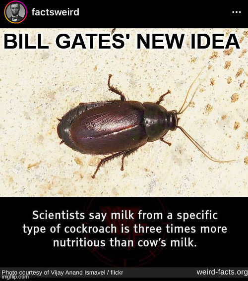 BILL GATES' NEW IDEA | made w/ Imgflip meme maker