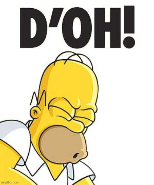 D'OH | image tagged in homer d'oh | made w/ Imgflip meme maker