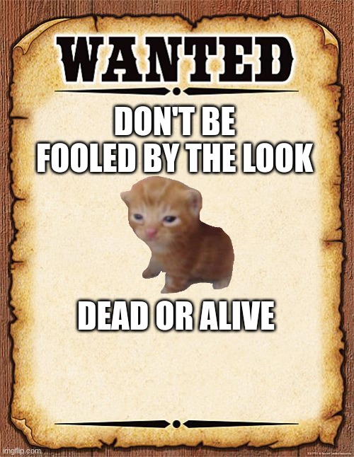 wanted poster | DON'T BE FOOLED BY THE LOOK; DEAD OR ALIVE | image tagged in wanted poster | made w/ Imgflip meme maker