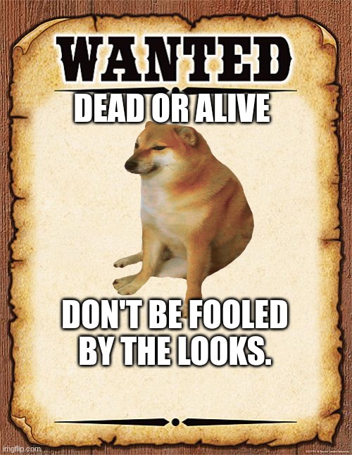 wanted poster | DEAD OR ALIVE; DON'T BE FOOLED BY THE LOOKS. | image tagged in wanted poster | made w/ Imgflip meme maker