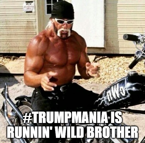 Trump | #TRUMPMANIA IS RUNNIN' WILD BROTHER | image tagged in donald trump,trump,trump2024,democrats,maga | made w/ Imgflip meme maker