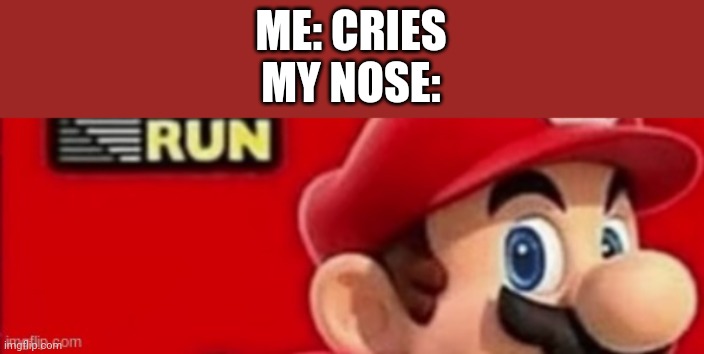ME: CRIES
MY NOSE: | made w/ Imgflip meme maker