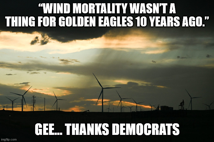 Killing golden eagles... it's what the globull warming cult does... | “WIND MORTALITY WASN’T A THING FOR GOLDEN EAGLES 10 YEARS AGO.”; GEE... THANKS DEMOCRATS | image tagged in global warming,hoax | made w/ Imgflip meme maker
