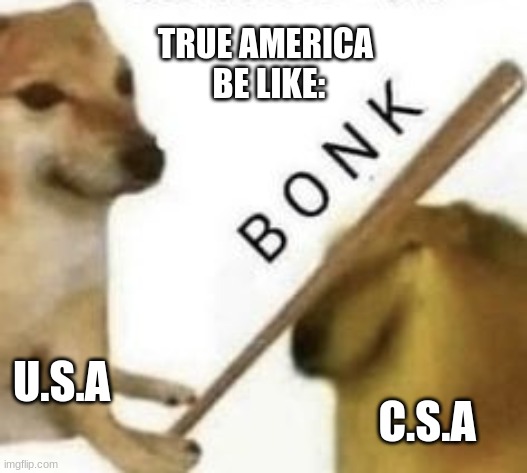 Bonk | TRUE AMERICA  BE LIKE:; U.S.A; C.S.A | image tagged in bonk | made w/ Imgflip meme maker