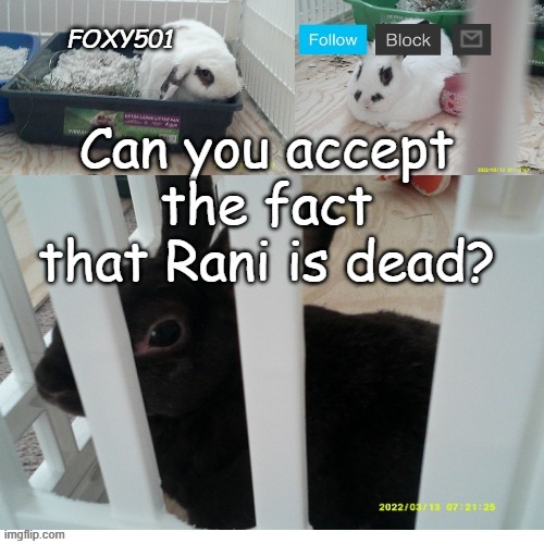 I don't care if you want it to be true, it's the truth. | Can you accept the fact that Rani is dead? | image tagged in foxy501 announcement template | made w/ Imgflip meme maker