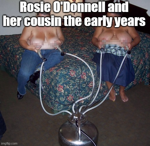 Rosie O'Donnell and her cousin the early years | made w/ Imgflip meme maker