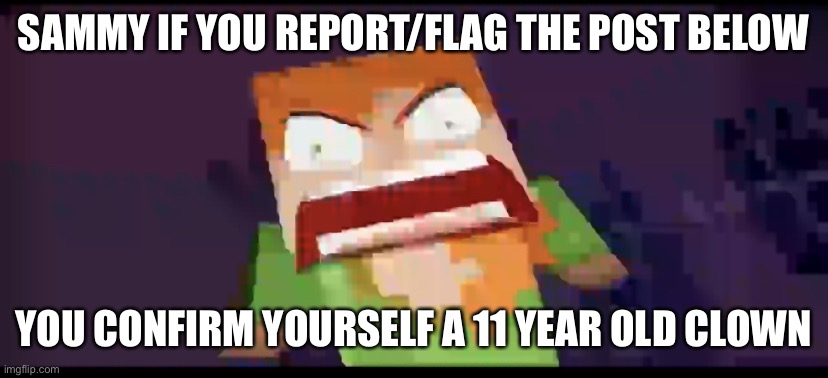 SAMMY IF YOU REPORT/FLAG THE POST BELOW; YOU CONFIRM YOURSELF A 11 YEAR OLD CLOWN | image tagged in a | made w/ Imgflip meme maker