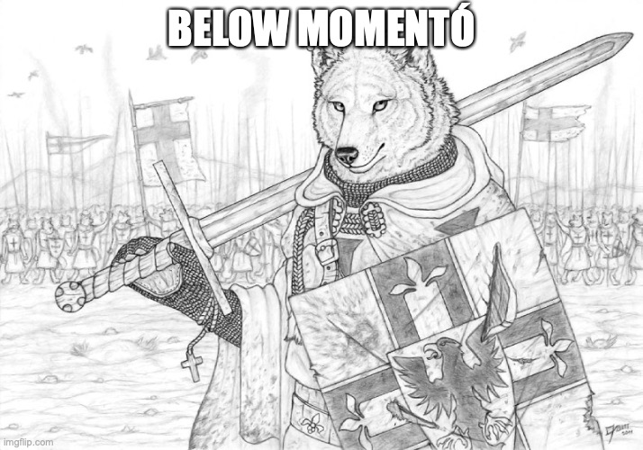 Fursader. | BELOW MOMENTÓ | image tagged in fursader | made w/ Imgflip meme maker