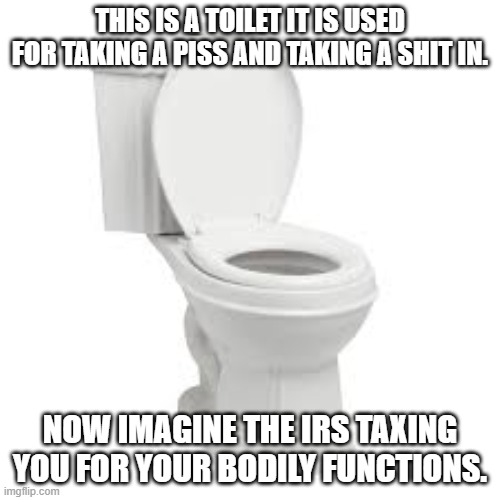 IRS Will Tax your Poop and pee Next. | THIS IS A TOILET IT IS USED FOR TAKING A PISS AND TAKING A SHIT IN. NOW IMAGINE THE IRS TAXING YOU FOR YOUR BODILY FUNCTIONS. | image tagged in toilet,taxes,poop,pee | made w/ Imgflip meme maker