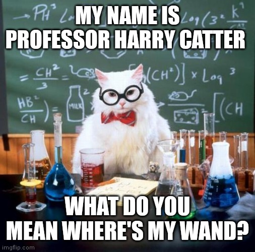 Chemistry Cat | MY NAME IS PROFESSOR HARRY CATTER; WHAT DO YOU MEAN WHERE'S MY WAND? | image tagged in memes,chemistry cat | made w/ Imgflip meme maker