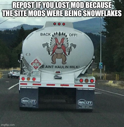 REPOST IF YOU LOST MOD BECAUSE THE SITE MODS WERE BEING SNOWFLAKES | made w/ Imgflip meme maker