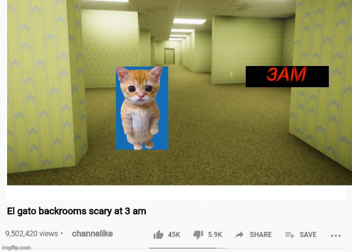 Cringe Video | El gato backrooms scary at 3 am; channelike | image tagged in cringe,el gato,backrooms,3am | made w/ Imgflip meme maker
